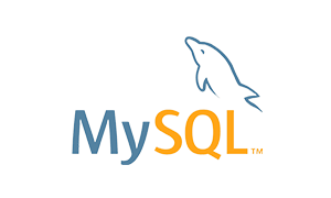 Technology partner