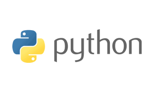 Technology partner