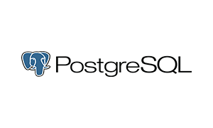 Technology partner