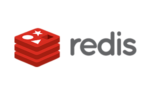 Technology partner